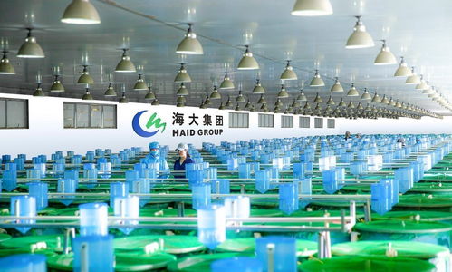 農行廣東分行助力種業振興 激活芯動能 延伸金融服務至汽車裝飾用品銷售