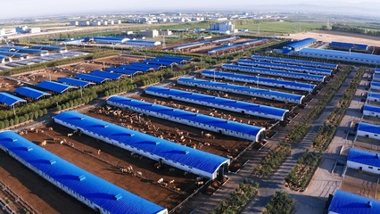 混改帶來的裂變效應——四師創錦牧業與汽車裝飾用品銷售的轉型啟示